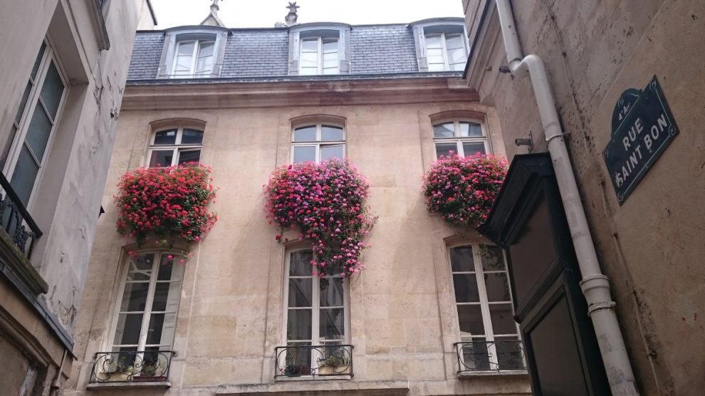 Paris windows