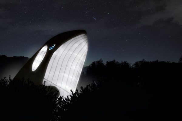 Illusimated Ocean show