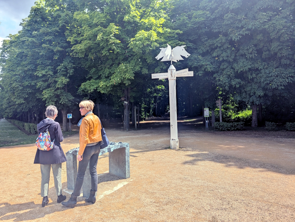 Forest short cut entrance