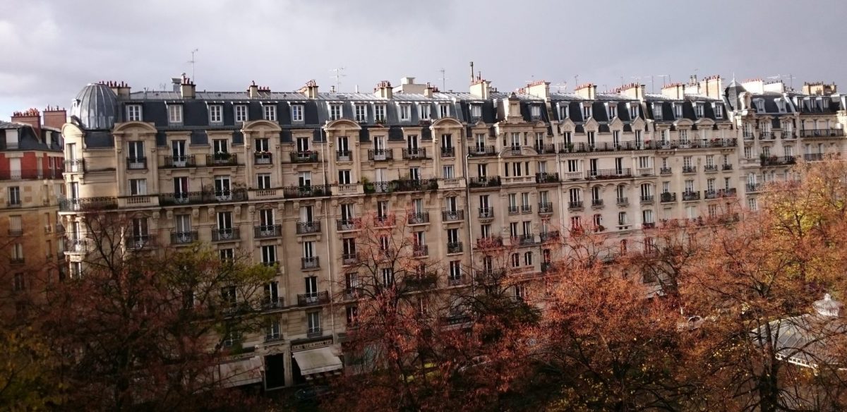 fall trees in Paris