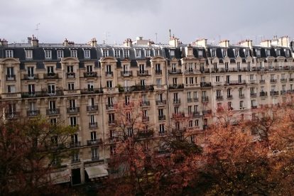 fall trees in Paris