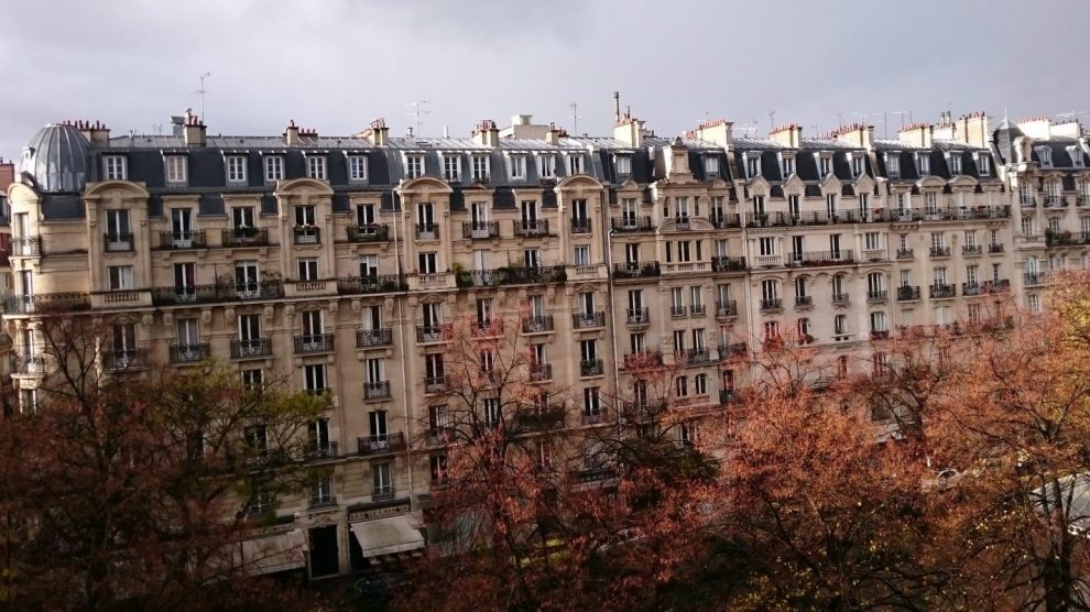 fall trees in Paris