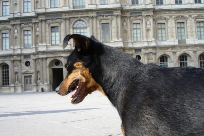 Pedro Le Chien