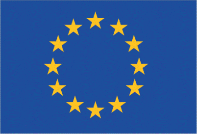 European flag