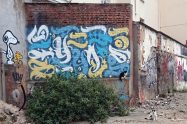 cats and grafitti