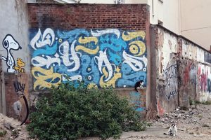 cats and grafitti