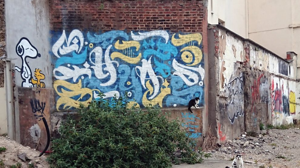 cats and grafitti