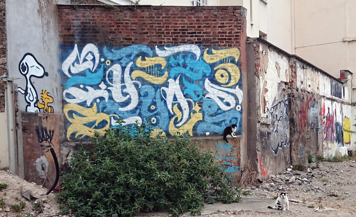 cats and grafitti