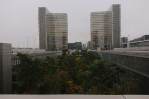 Forest in the Bibliotheque