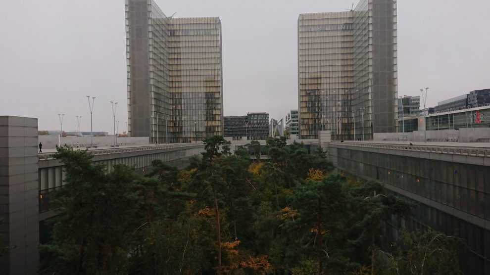 Forest in the Bibliotheque