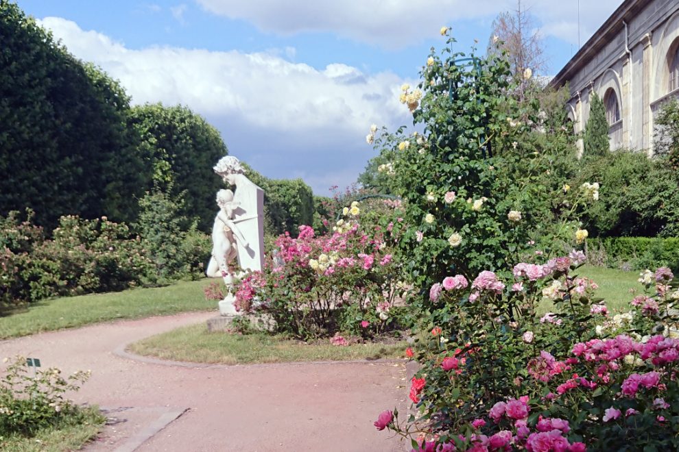 Rose Garden Jardin des Plantes