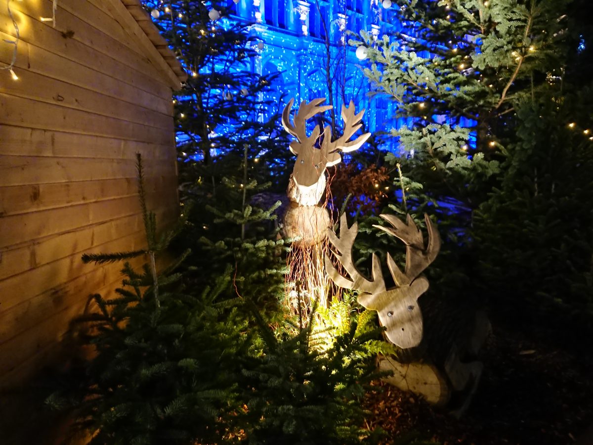 Christmas Decor Paris