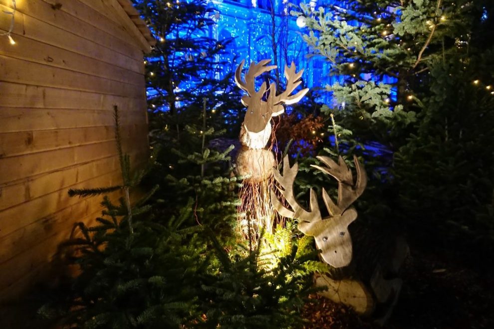 Christmas Decor Paris