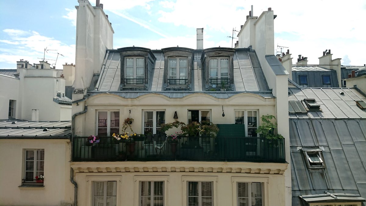 Paris rooftops