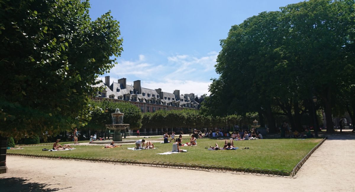 summer lawn in Paris