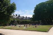 summer lawn in Paris
