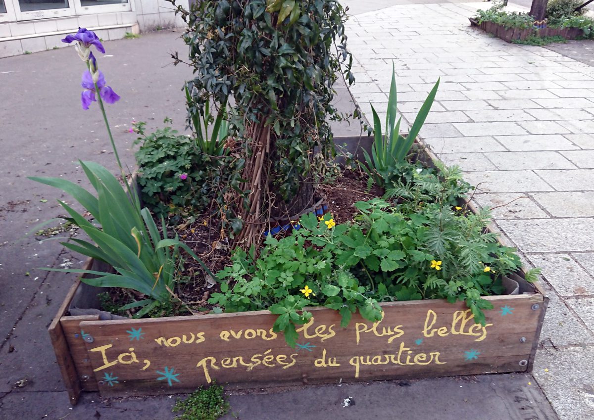 flower box at foot of tree