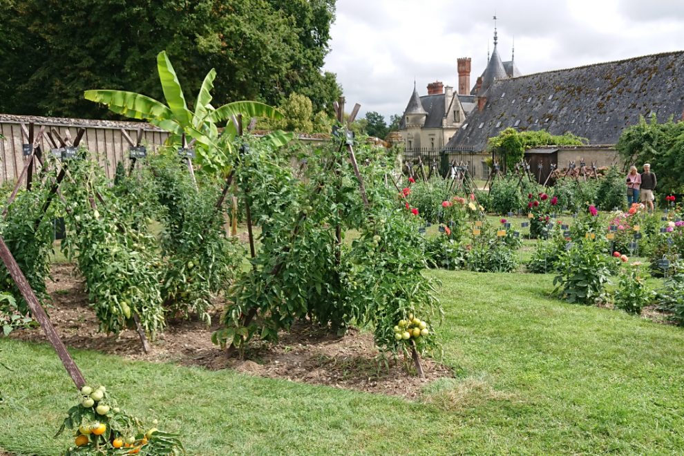 Chateau de la Bourdaisiere