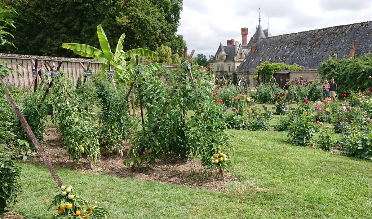 Chateau de la Bourdaisiere