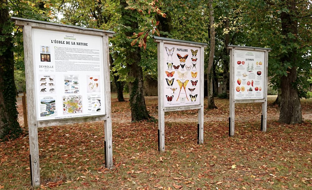 Deyrolle Poster Boards