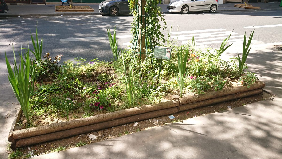 urban garden patch