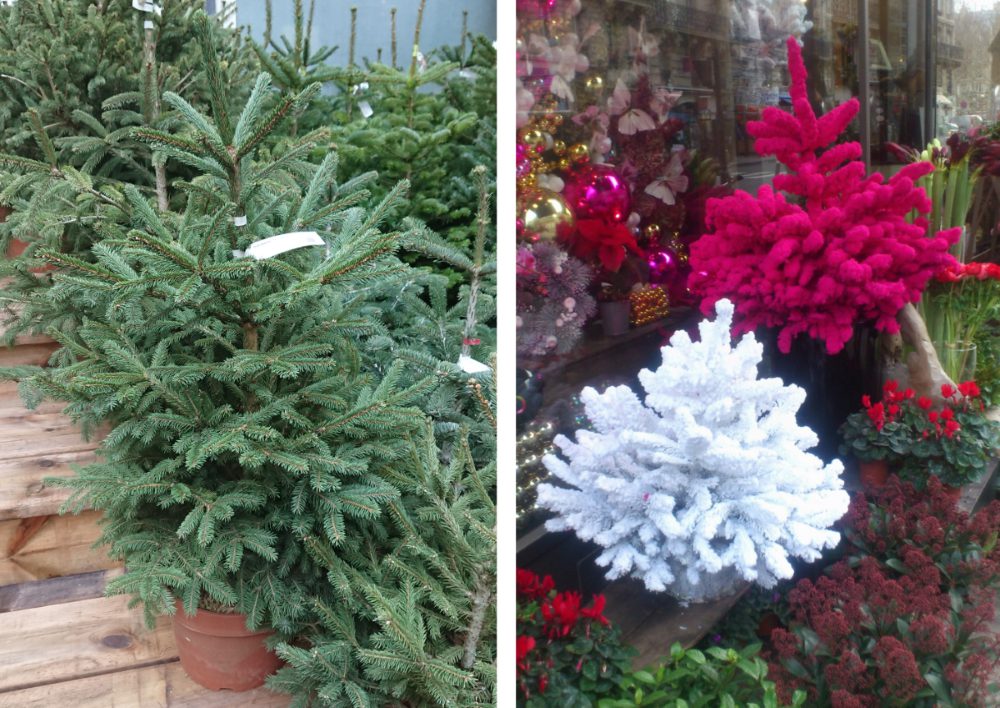 Potted trees and flocked trees