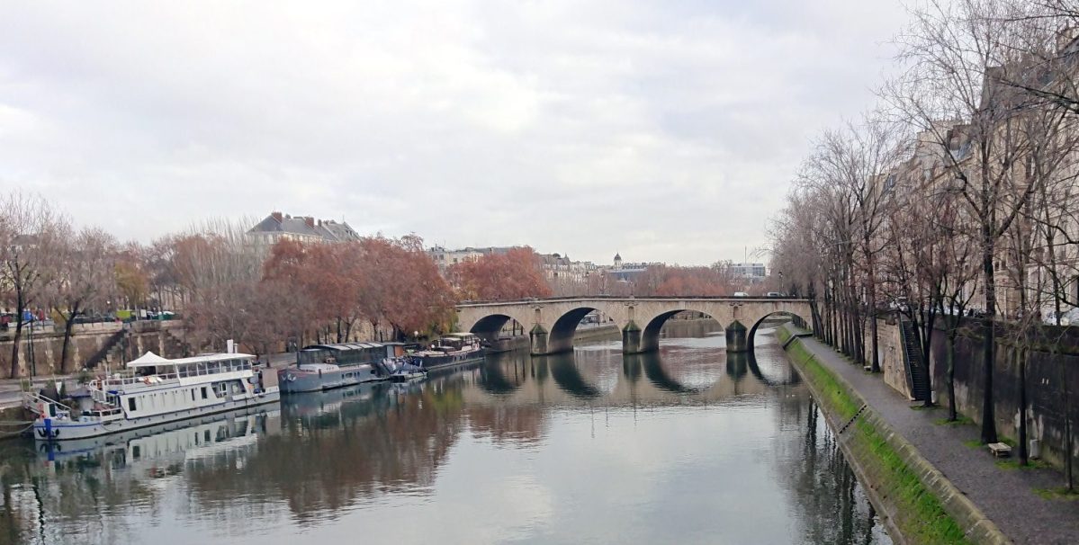 The Seine River