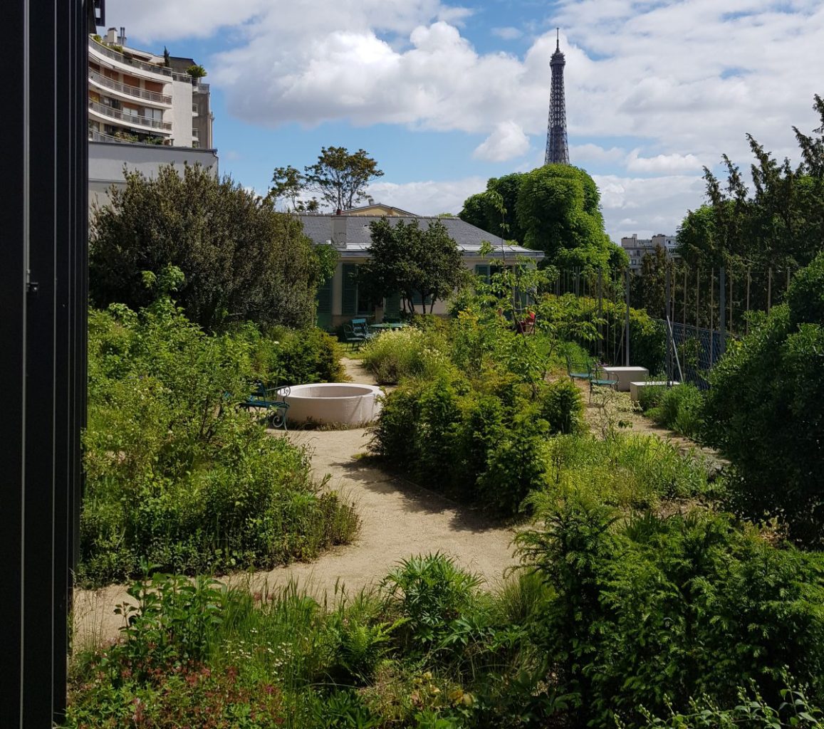 Garden and Eiffel Tower