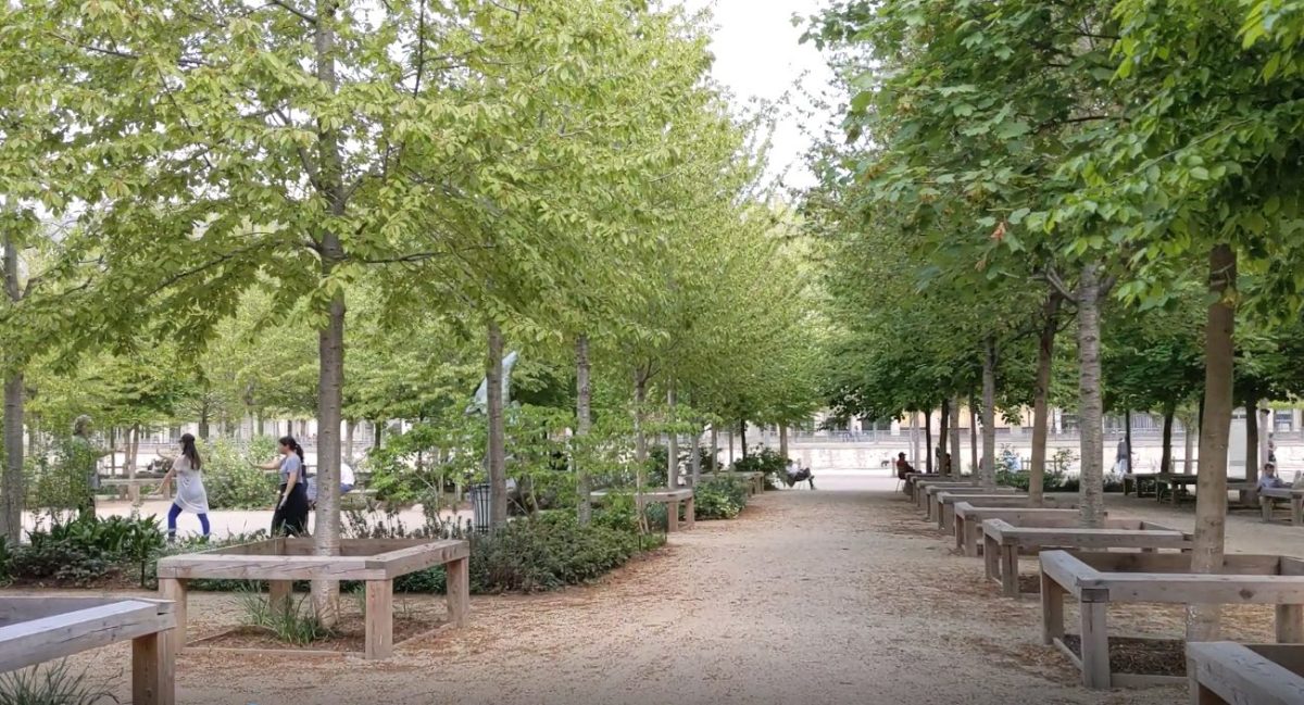 The newly planted Bosquet des Oiseaux