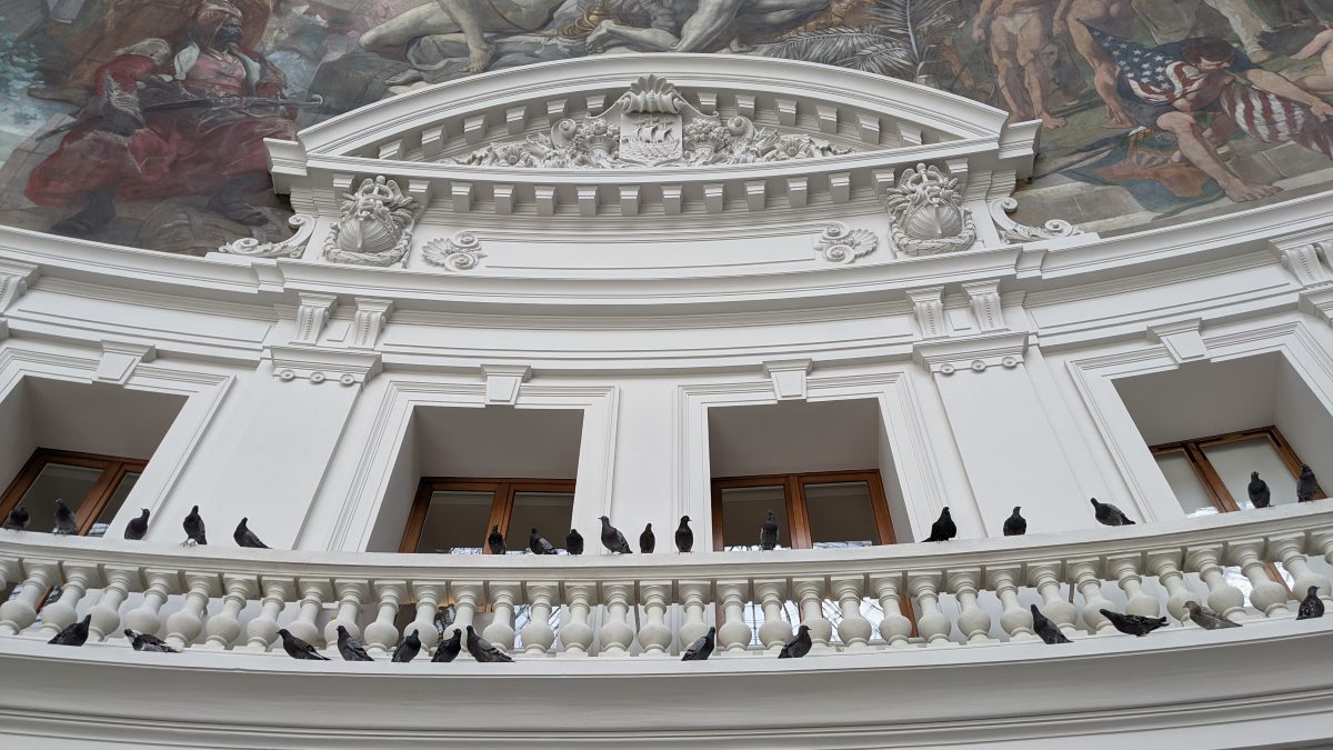 pigeons on balustrade