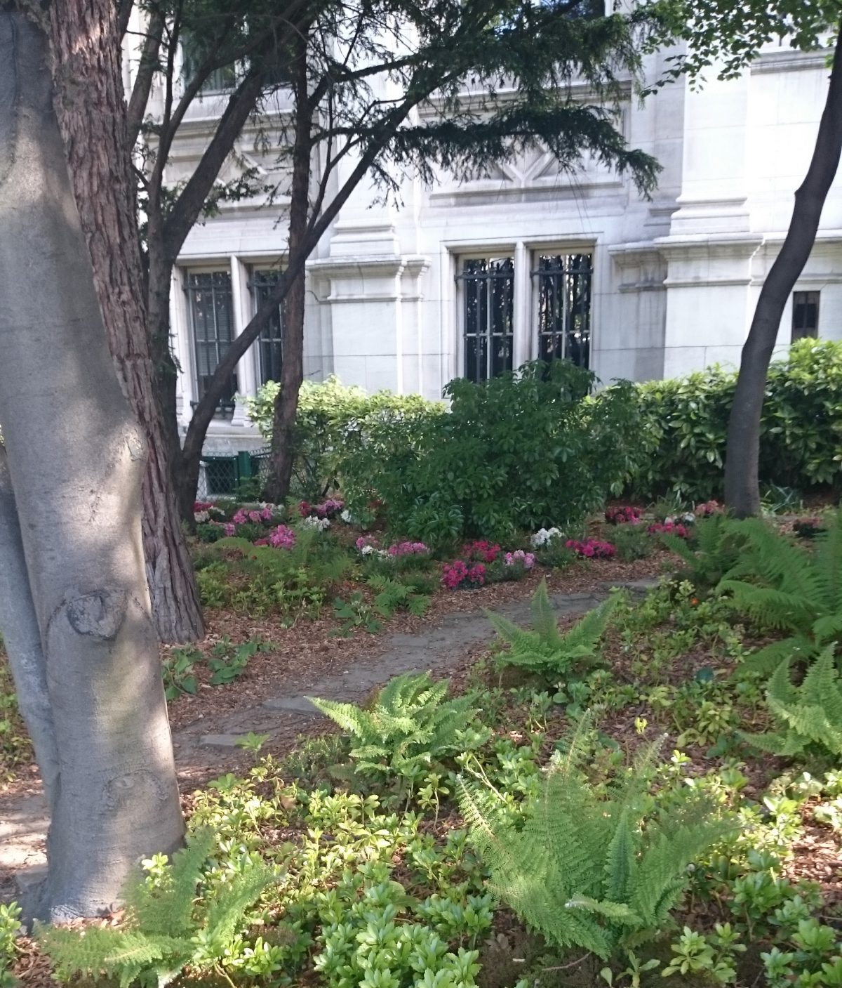 Shady path with flowers