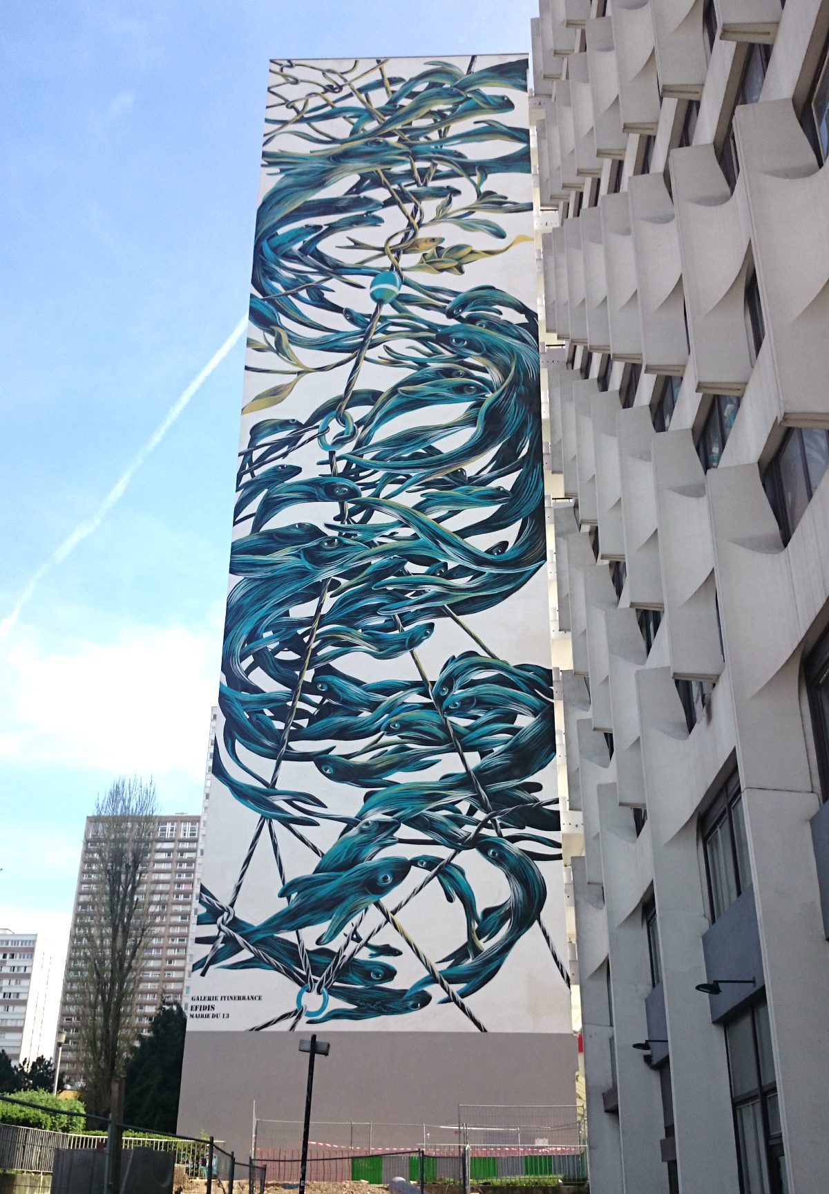 Fish whirlwind mural by Patonio