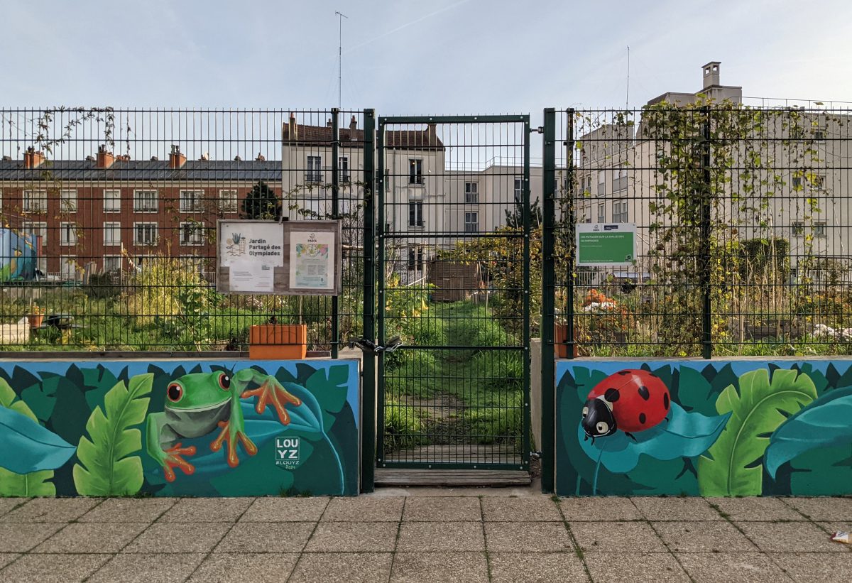 The local community garden
