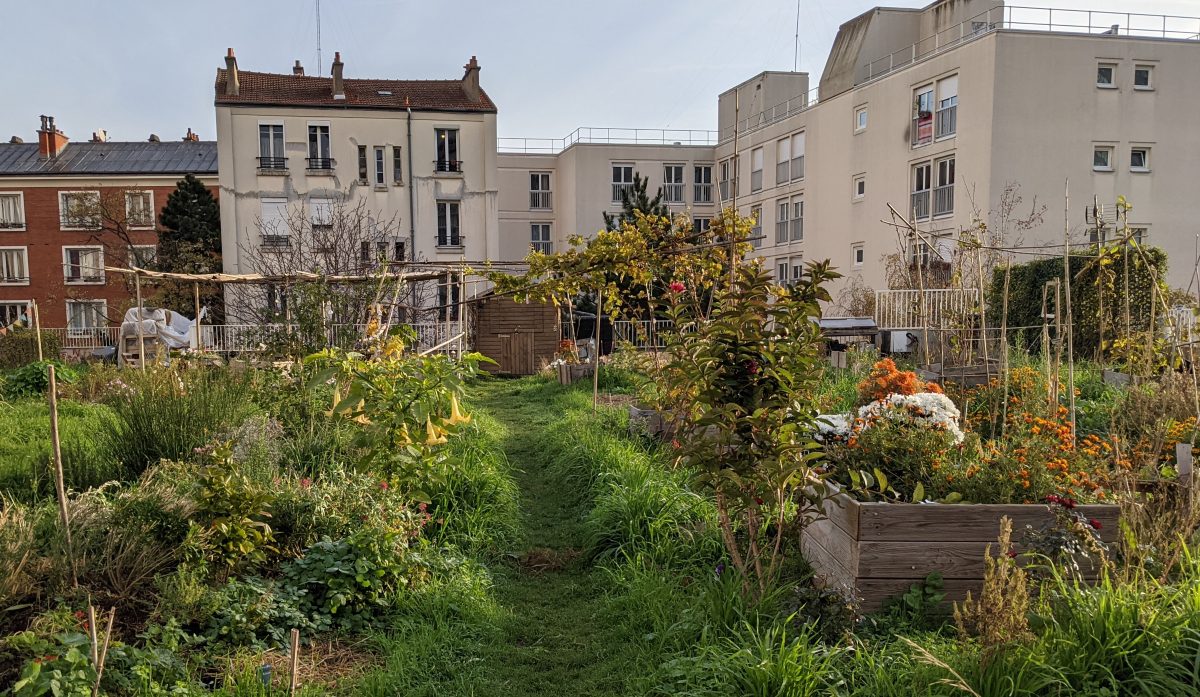 The local community garden
