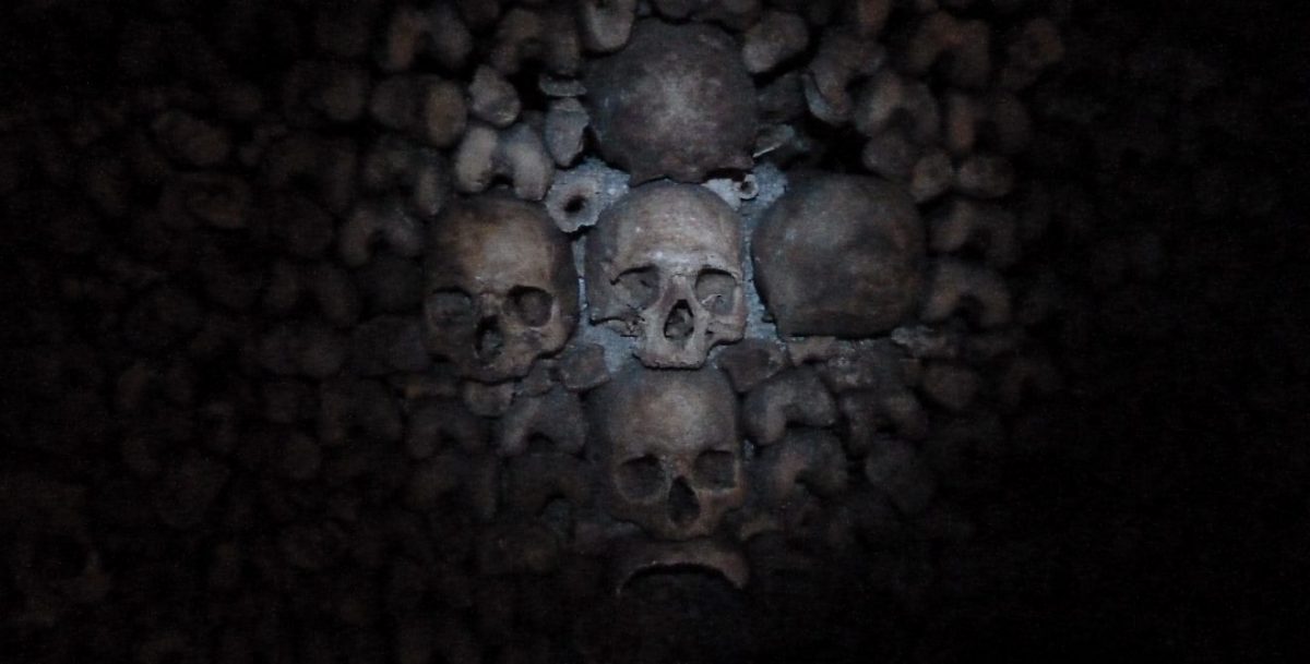 skulls in the Catacombes