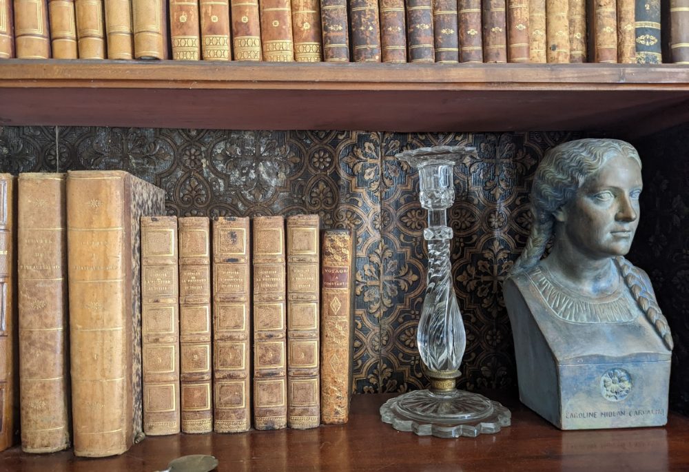 Rosa Bonheure bookshelf