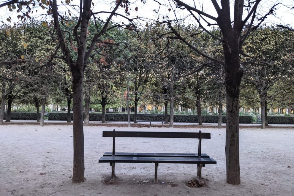 Palais Royal Bench