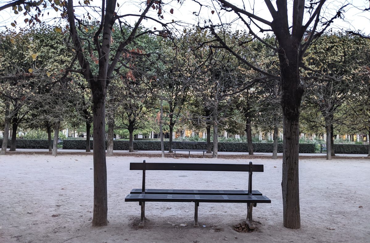 Palais Royal Bench