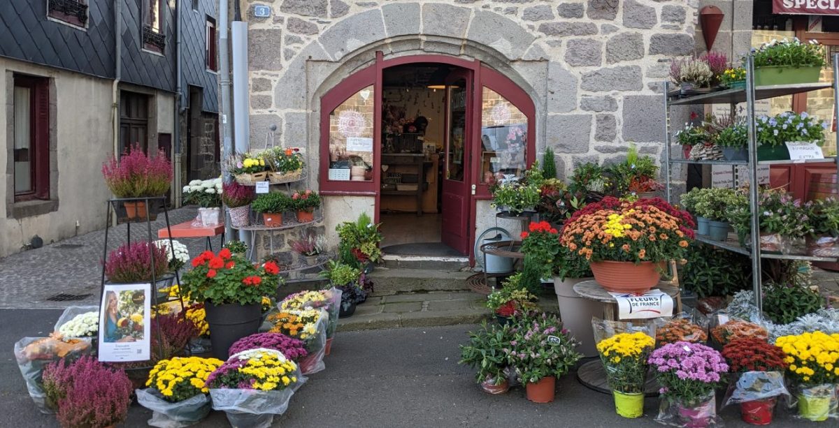Chrysanthèmes flower shop