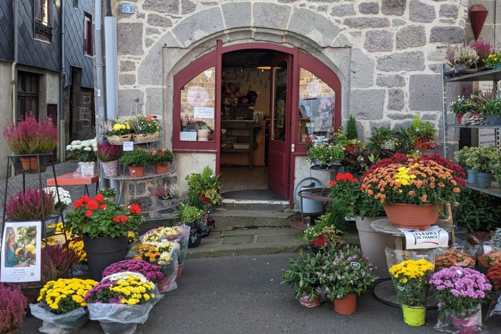 Chrysanthèmes flower shop
