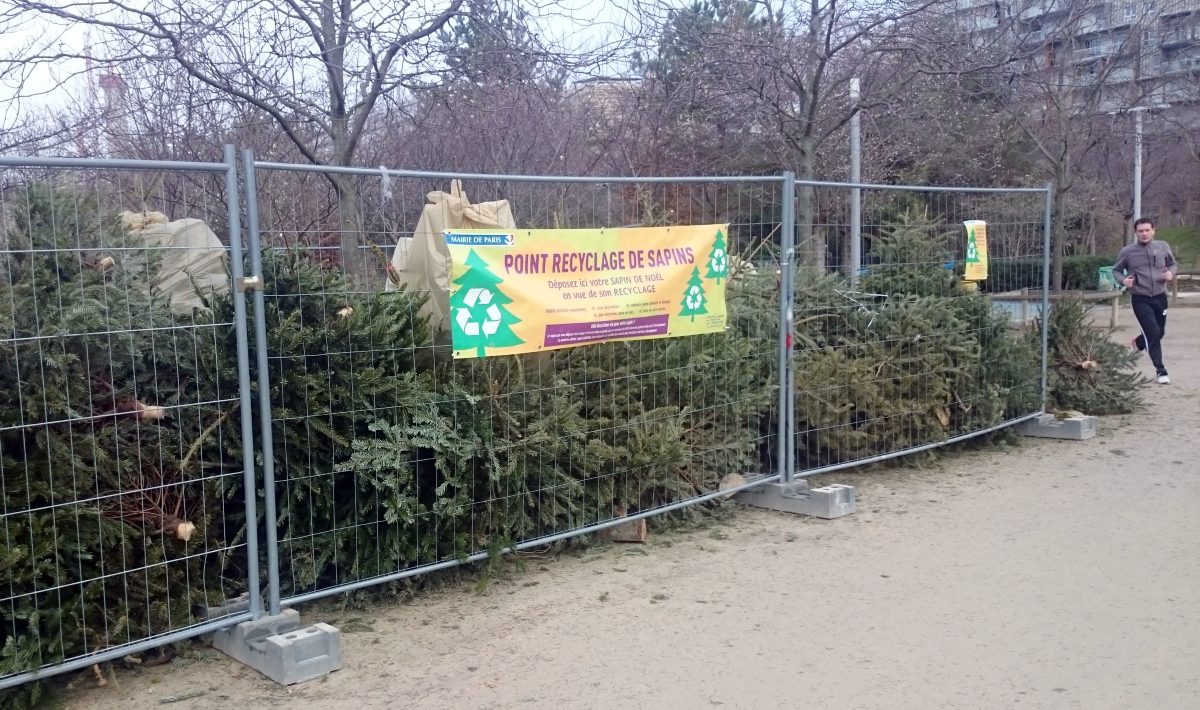 Christmas tree collection point