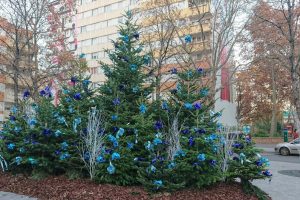 Christmas trees in Paris
