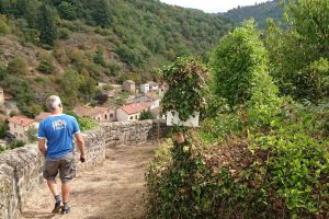 Fred checking out the vineyard