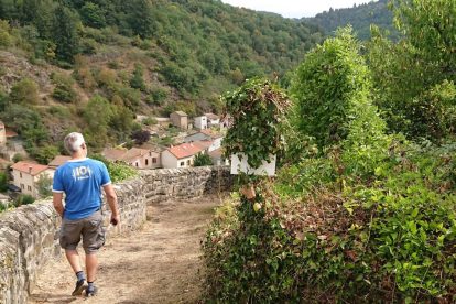 Fred checking out the vineyard