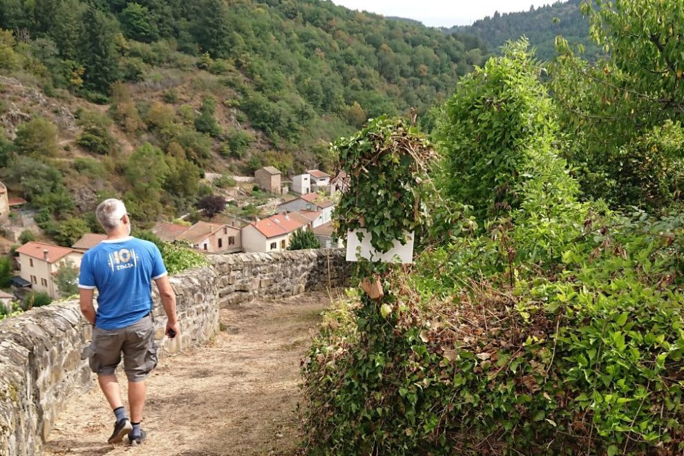 Fred checking out the vineyard