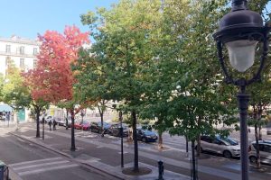 Place Jeanne d'Arc in fall