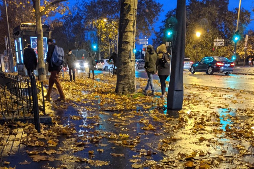 wet leaves in Paris