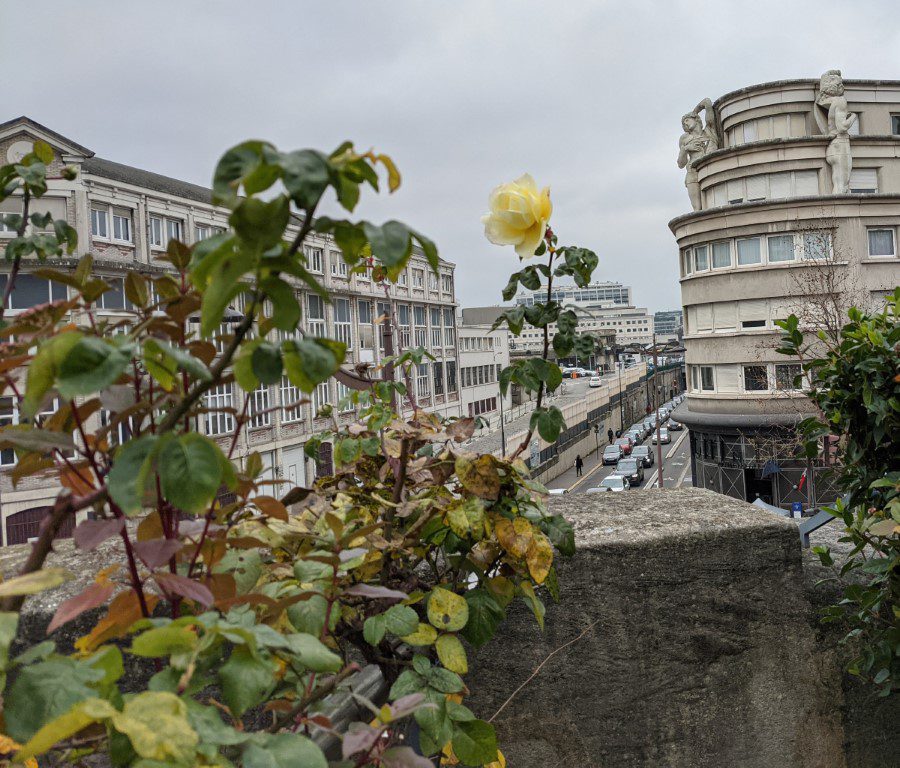 Don't miss the interesting views!