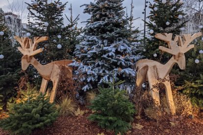 Christmas deer decor
