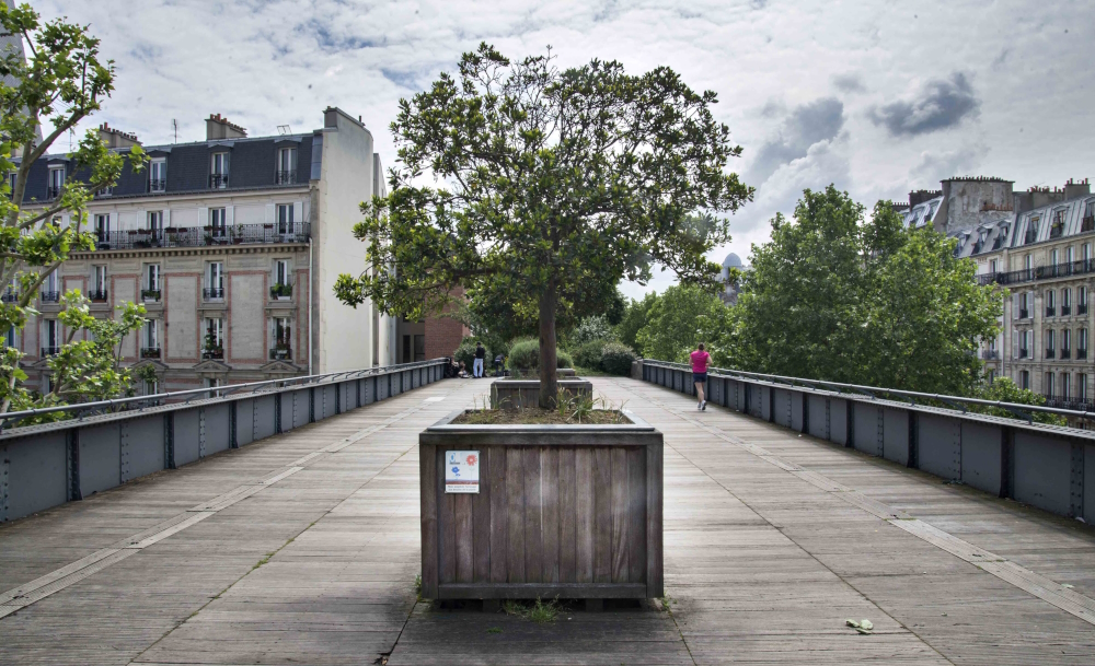 Promenade Plantée in Summer